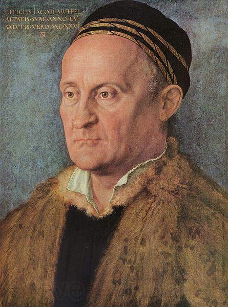 Albrecht Durer Portrat des Jacob Muffel Germany oil painting art